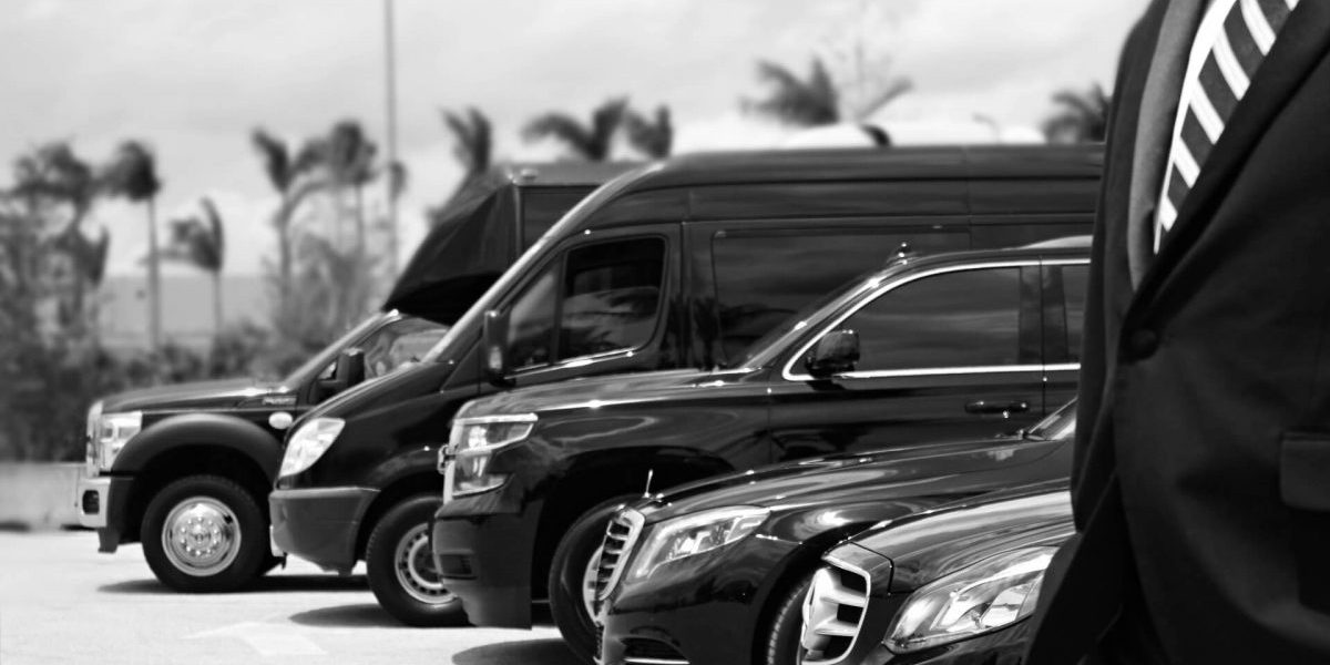 Explore the Limousine Service Directory Your Ultimate Guide to Luxury Transportation