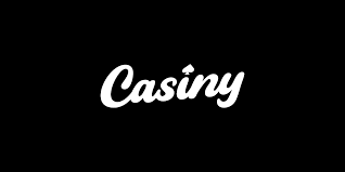 The Ultimate Guide to Casiny App Unlocking the Future of Online Gaming