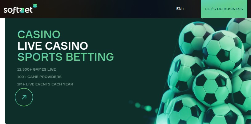 The Future of Gaming Understanding the Gaming Platform Provider The Future of Gaming Understanding the Gaming Platform Provider
